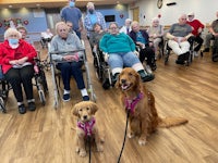 two dogs in wheelchairs sitting in front of a group of people