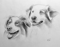 two black and white drawings of two dogs