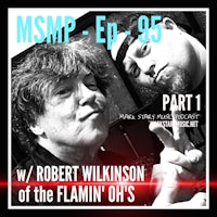 msp ep 95 part 1 robert wilkinson of the flamin' op's